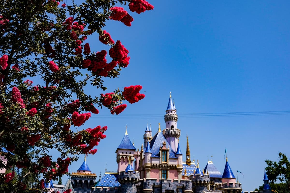 A pink castle with a blue roof surrounded by red flowers — Anaheim, CA