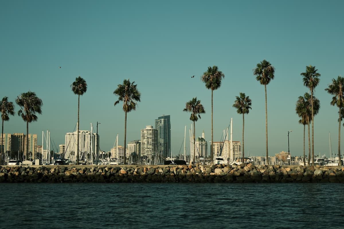 Palm trees line a cityscape with a harbor — Long Beach, CA