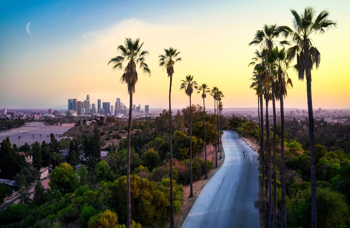 Green palm trees near city buildings during daytime — Los Angeles, CA