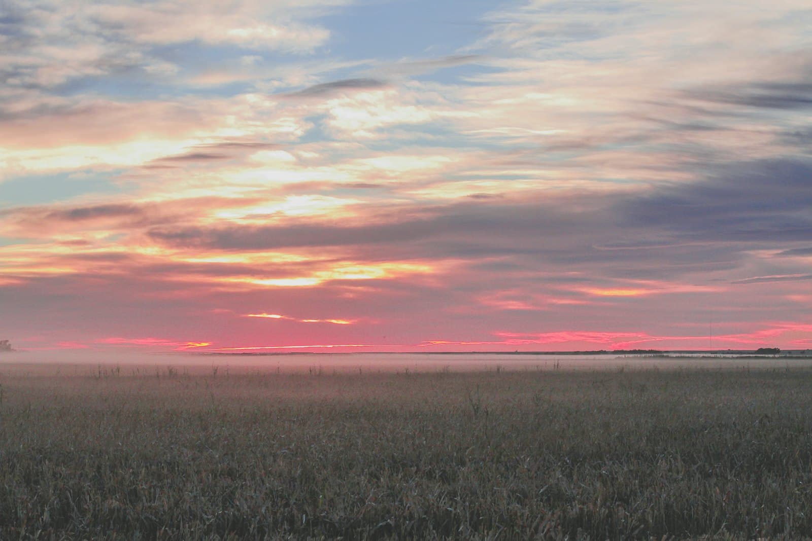 a field of grass with the sun setting in the distance — Midwest