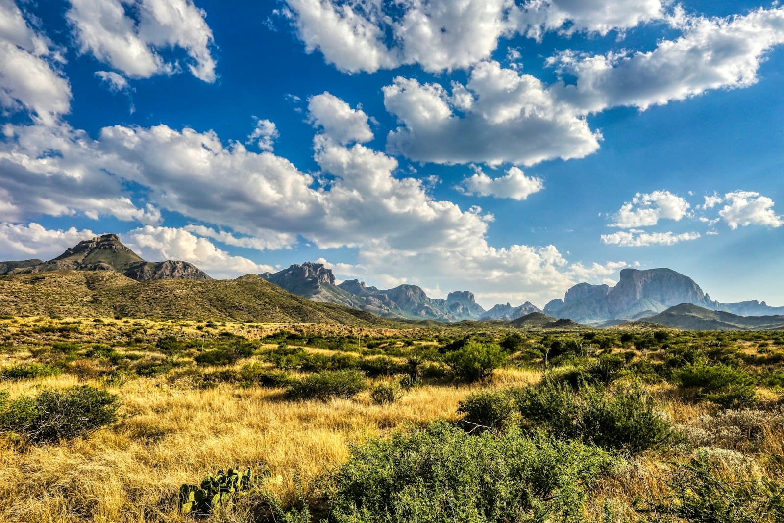 green grass field near mountains under blue sky and white clouds during daytime — South Central